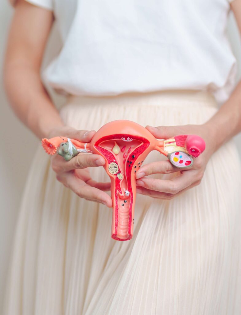 vaginaal microbioom test amsterdam