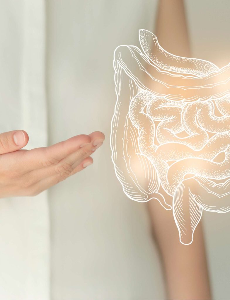darm microbioom test amsterdam