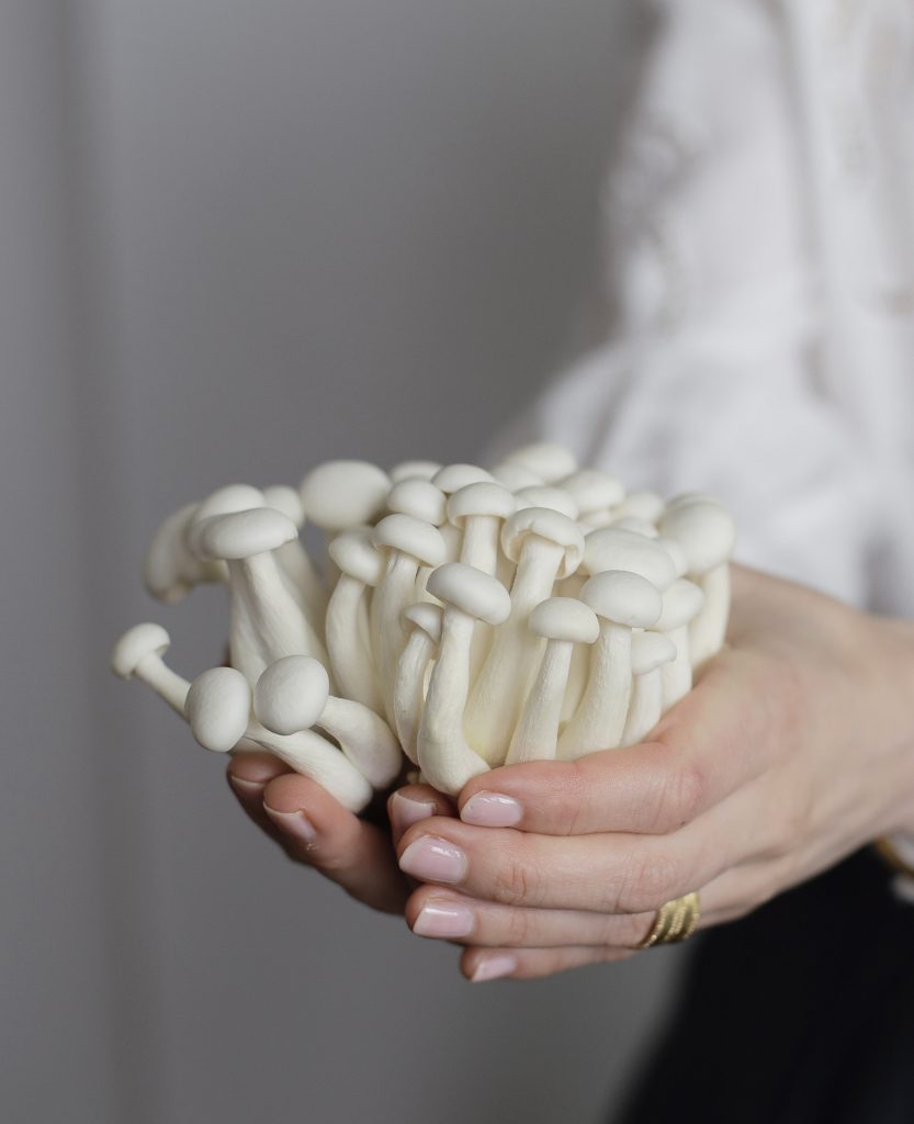 Handen van Dr. Sophie Kuizenga arts die paddenstoelen vasthouden als onderdeel van voeding en leefstijladviefs