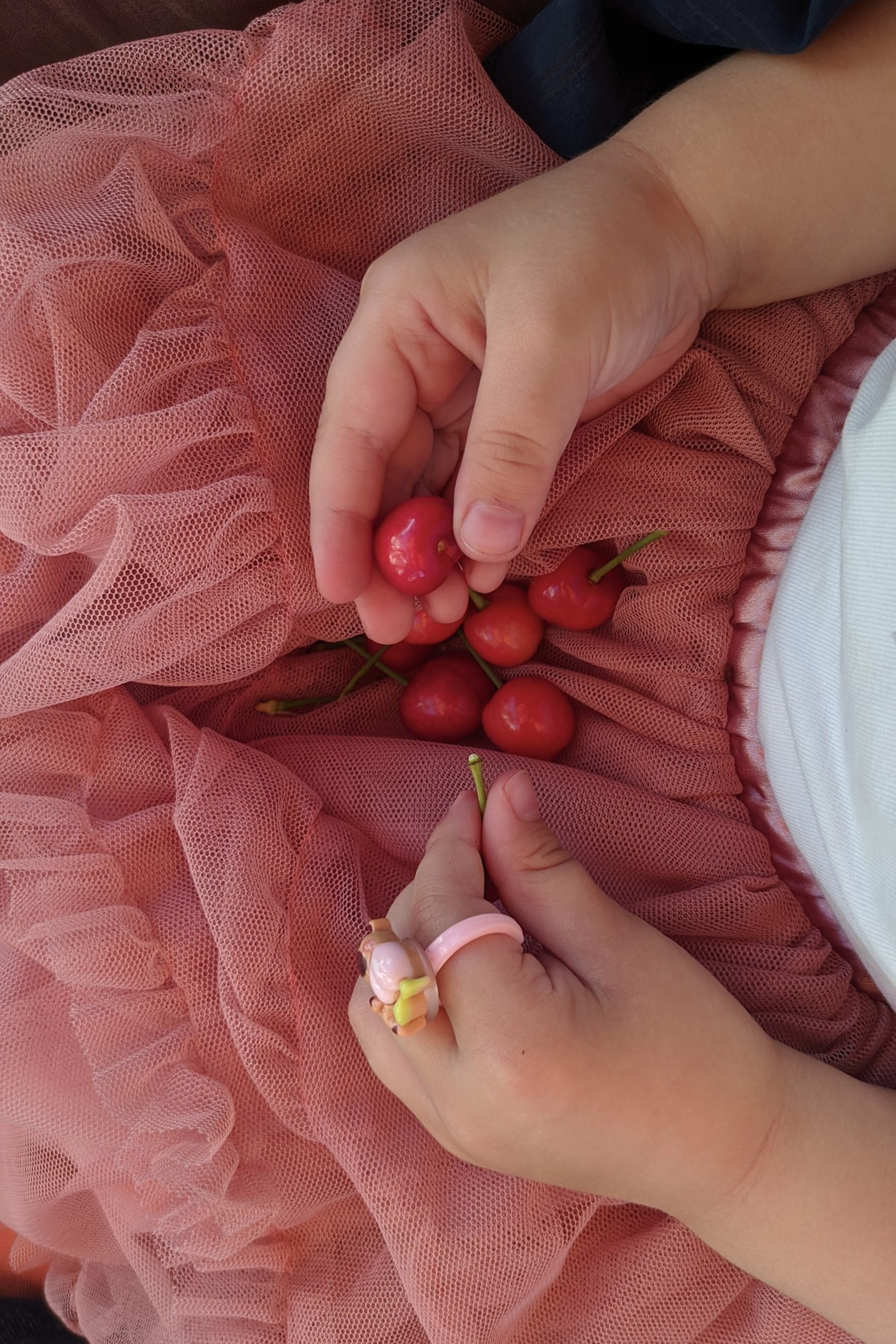 Kind met kersen en roze rok